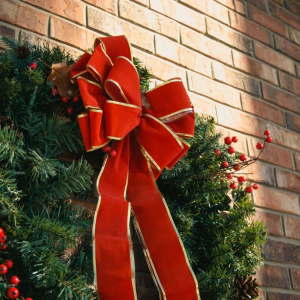 pexels-jmeyer1220-752382