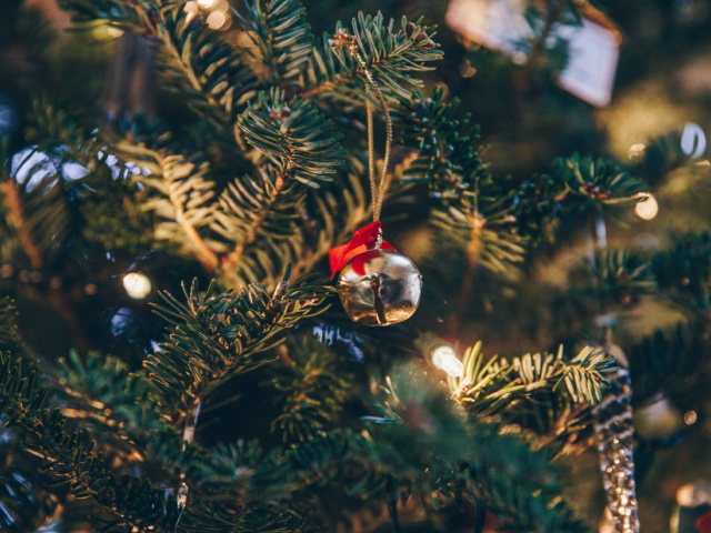 small-bell-ornament-on-tree-shopify-photos