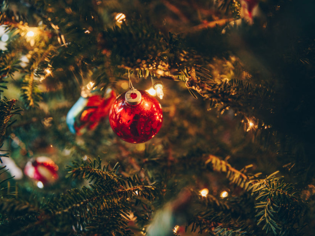 metallic-red-ball-ornament-on-tree