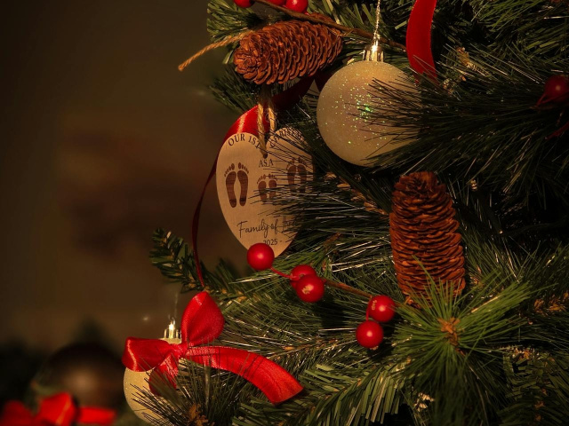 pexels-cristina-tiris-225421306-35205187