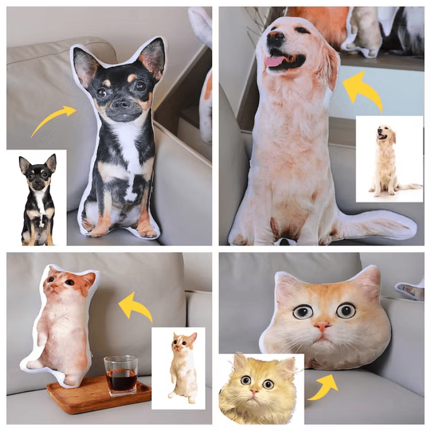 animals