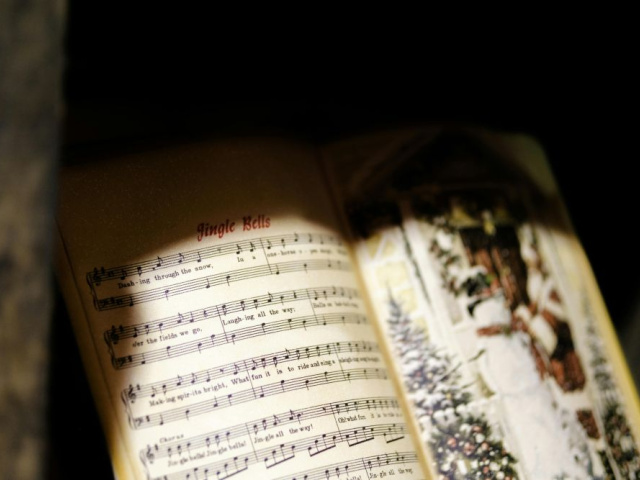 pexels-mathias-reding-14145368