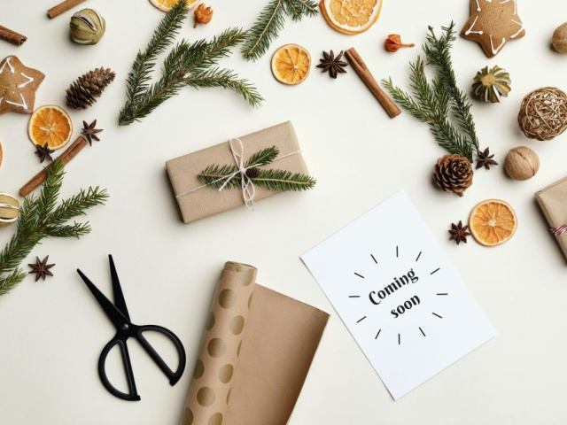 pexels-boris-pavlikovsky-5498382